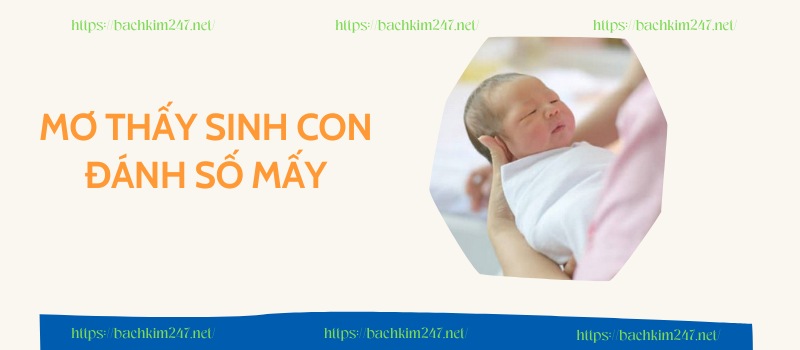 Mơ thấy sinh con đánh số mấy?