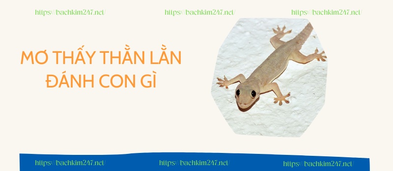 Mơ thấy thằn lằn đánh con gì