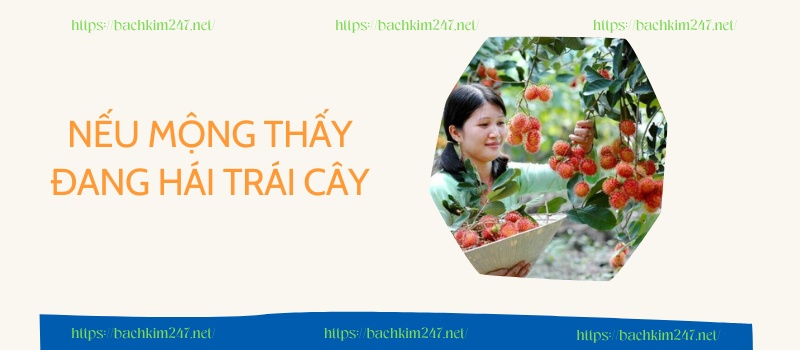 Nếu mộng thấy đang hái trái cây