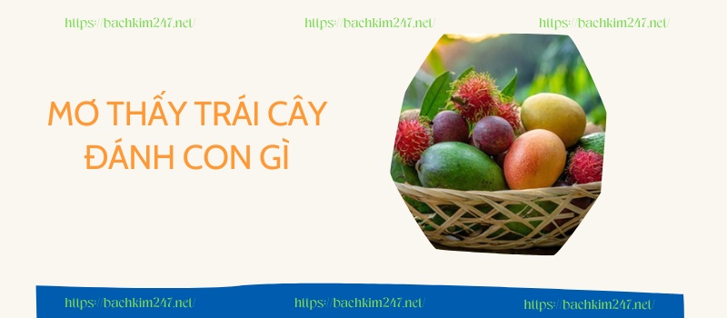 Mơ thấy trái cây đánh con gì