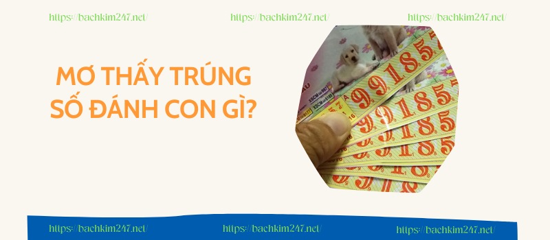 Mơ thấy trúng số đánh con gì?