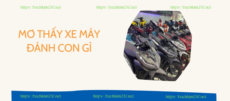  Mơ thấy xe máy đánh con gì