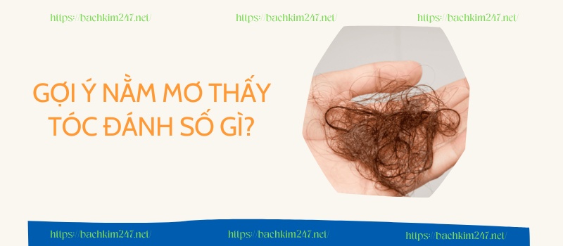 Gợi ý nằm mơ thấy tóc đánh số gì?