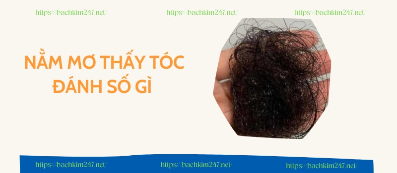 Nằm mơ thấy tóc đánh số gì