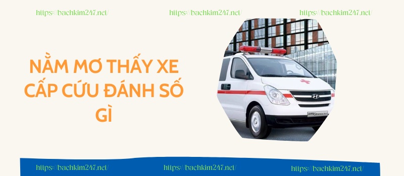  Nằm mơ thấy xe cấp cứu đánh số gì