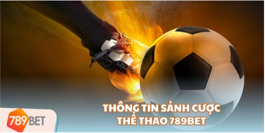 Trải nghiệm sôi động cuồng nhiệt từ 789BET thể thao