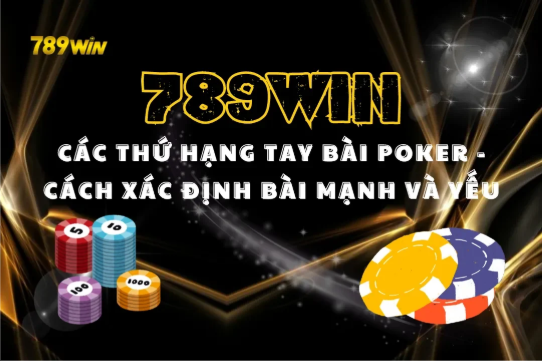 Điểm hẹn của những bộ óc ưa thử thách