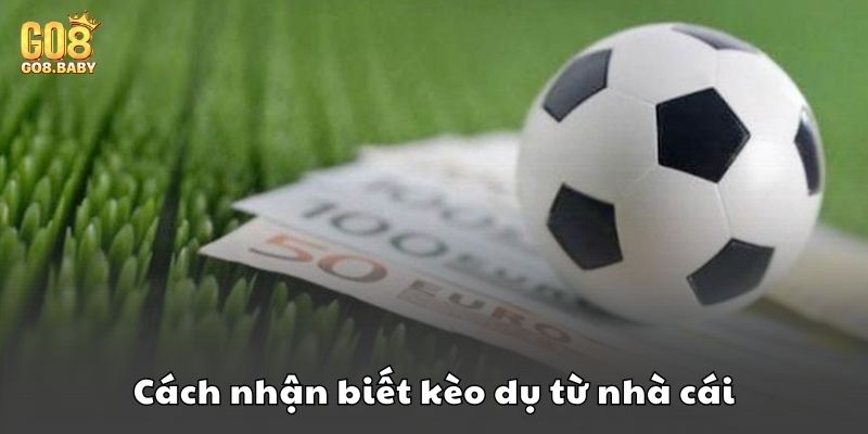 Sai lầm thường gặp khi chơi kèo châu Âu Go8