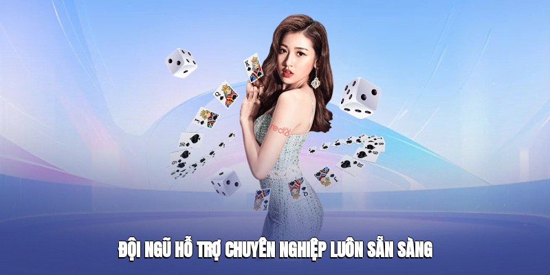 Đội ngũ hỗ trợ chuyên nghiệp luôn sẵn sàng 24/7