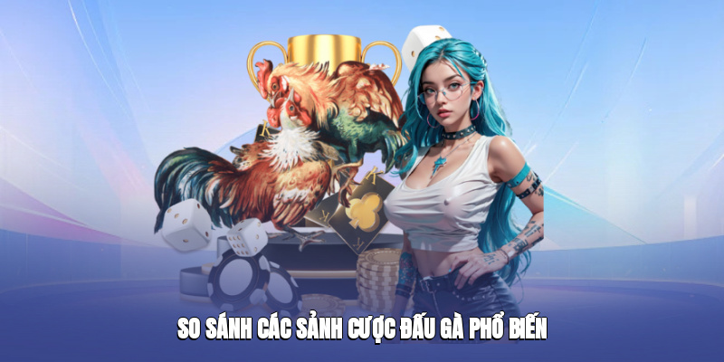 So sánh các sảnh cược đấu gà phổ biến