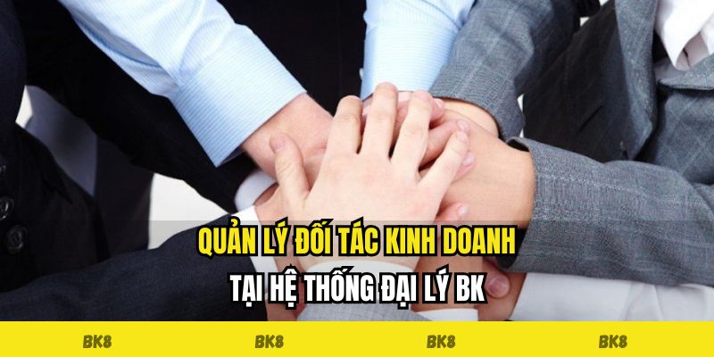 Quản lý đối tác kinh doanh tại hệ thống đại lý BK8
