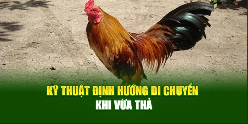 Kỹ thuật định hướng di chuyển khi vừa thả