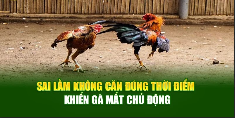 Sai lầm không căn đúng thời điểm khiến gà mất chủ động