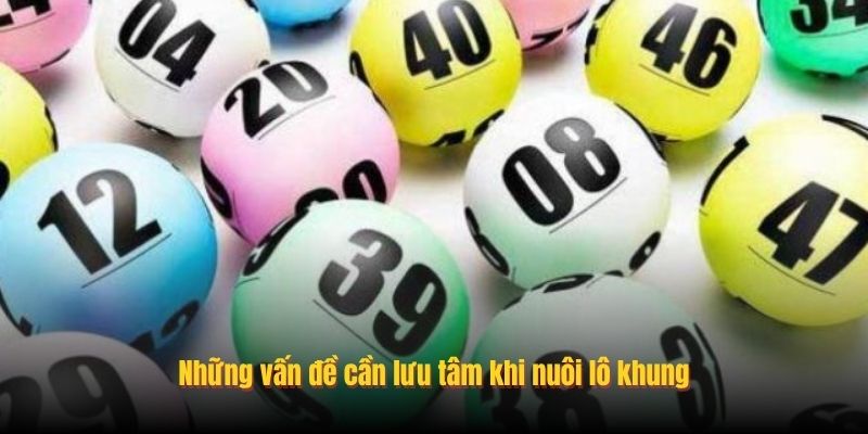 Những vấn đề cần lưu tâm khi nuôi lô khung